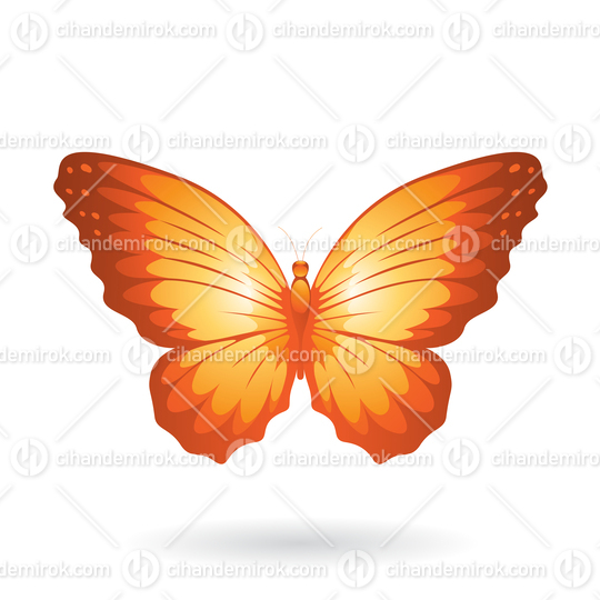 Orange Butterfly Illustration with Round Wings