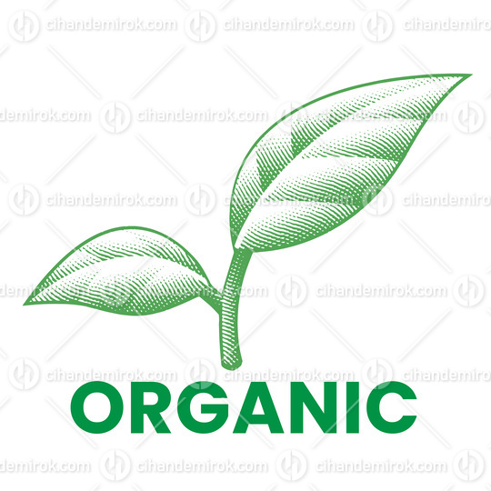 Organic Engraved Green Leaves Icon