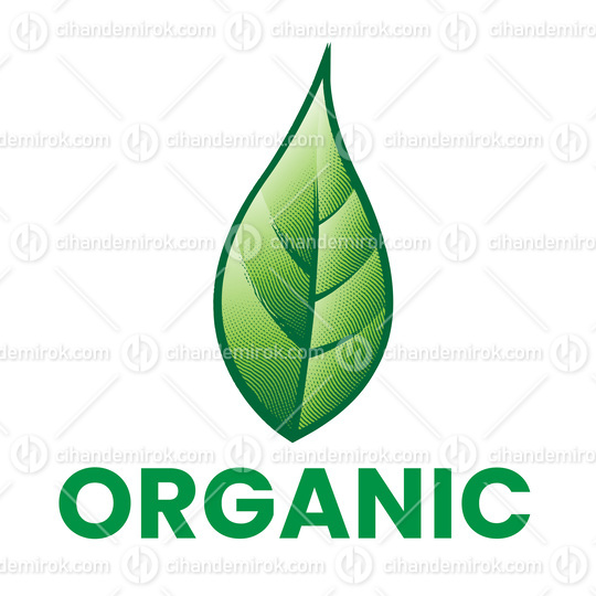 Organic Engraved Icon with Green Leaf