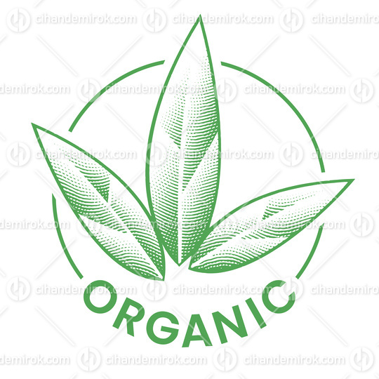 Organic Engraved Round Icon with 3 Green Leaves - Icon 3