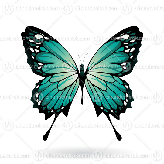 Persian Green and Black Butterfly Illustration