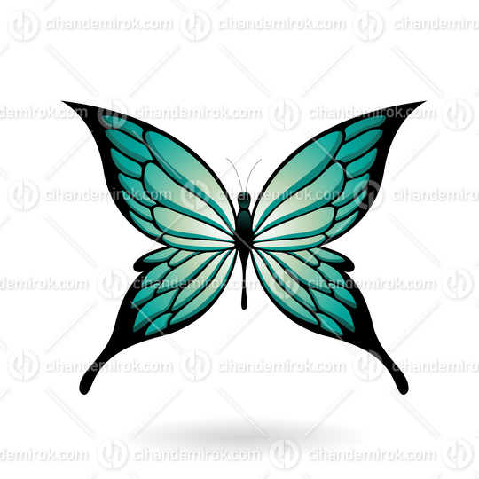 Persian Green and Black Butterfly Illustration with Pointed Wing