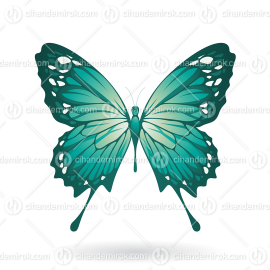 Persian Green Butterfly Illustration
