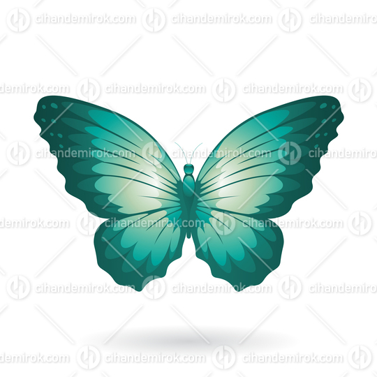Persian Green Butterfly Illustration with Round Wings