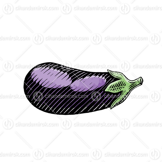 Purple Eggplant, Scratchboard Engraved Vector
