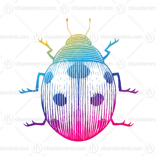 Rainbow Colored Vectorized Ink Sketch of Ladybug Illustration