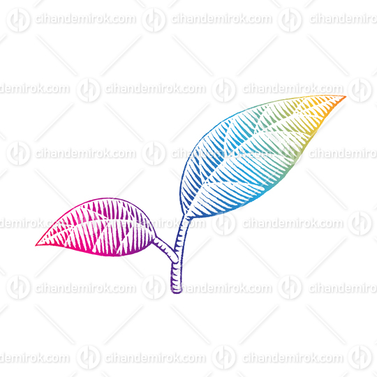 Rainbow Colored Vectorized Ink Sketch of Leaves Illustration