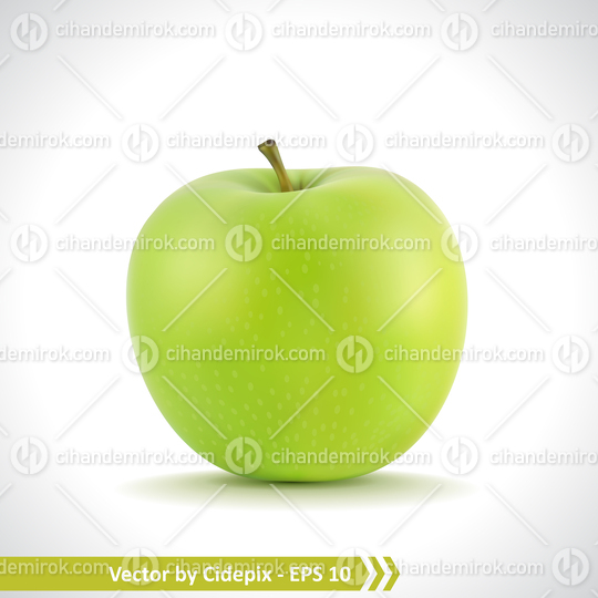 Realistic Illustration of a Green Apple