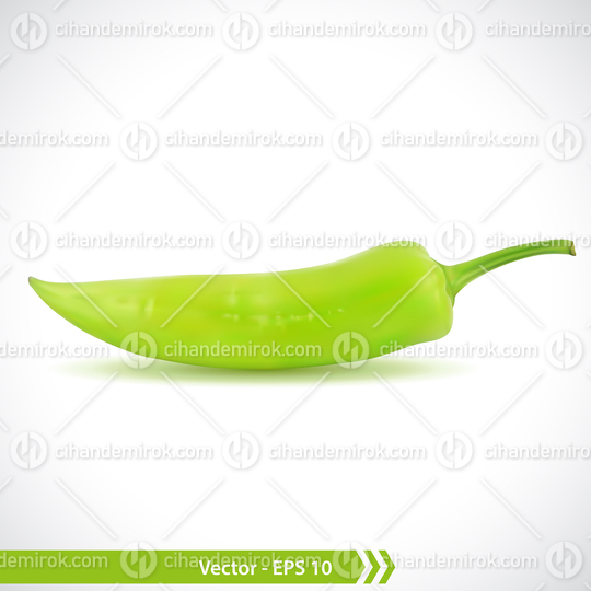 Realistic Illustration of a Green Pepper
