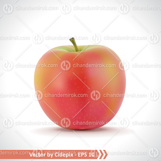 Realistic Illustration of A Red Apple