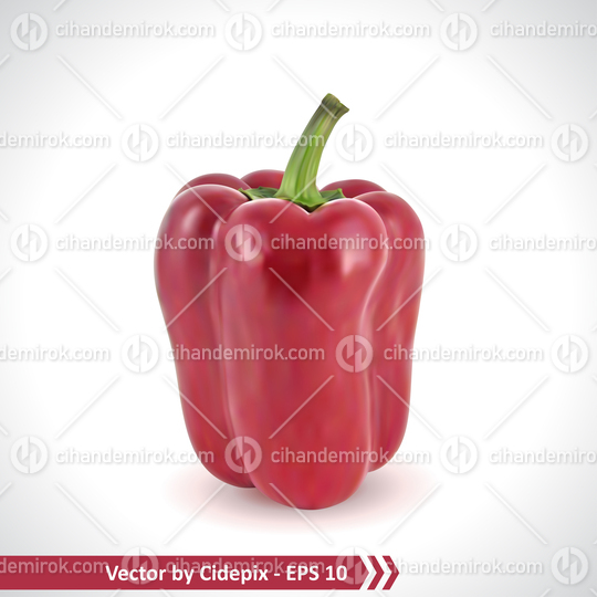 Realistic Illustration of a Red Pepper