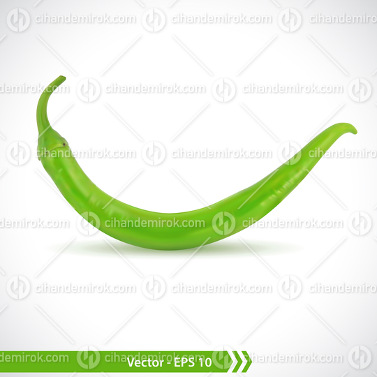 Realistic Illustration of a Spicy Green Pepper
