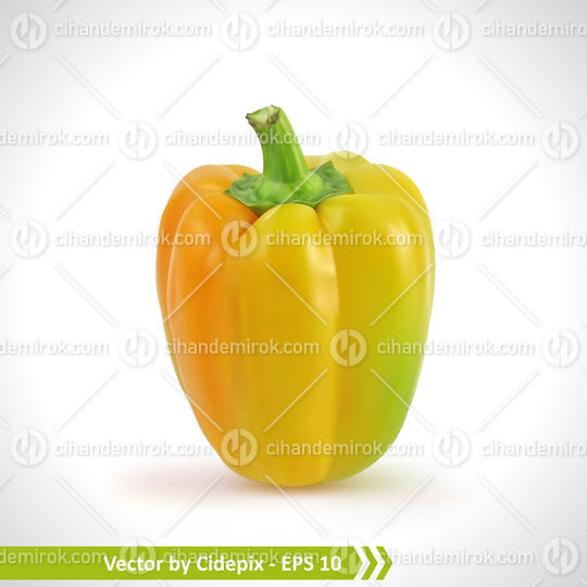 Realistic Illustration of a Yellow Pepper