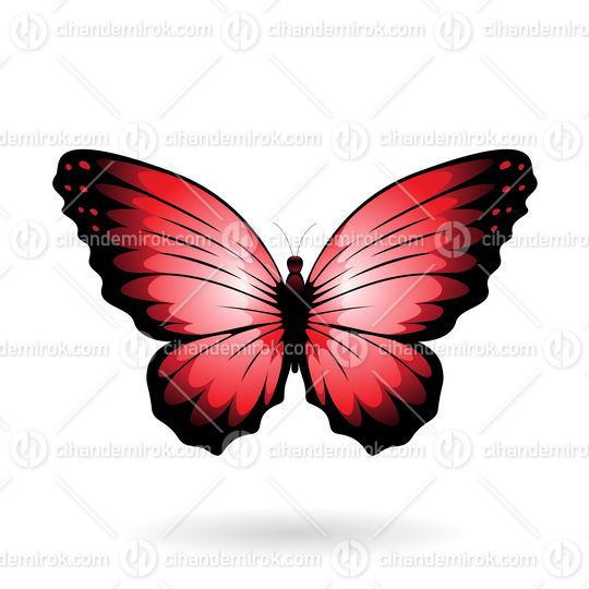 Red and Black Butterfly Illustration with Round Wings