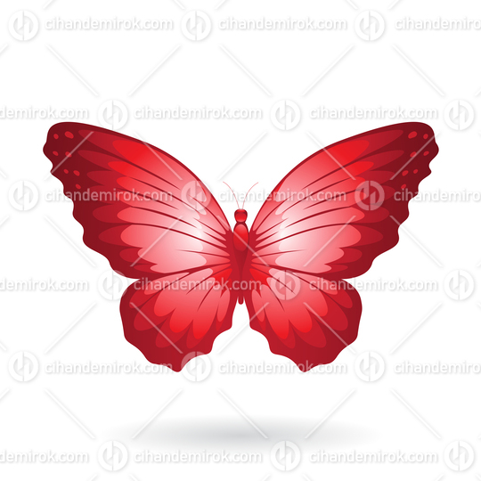 Red Butterfly Illustration with Round Wings