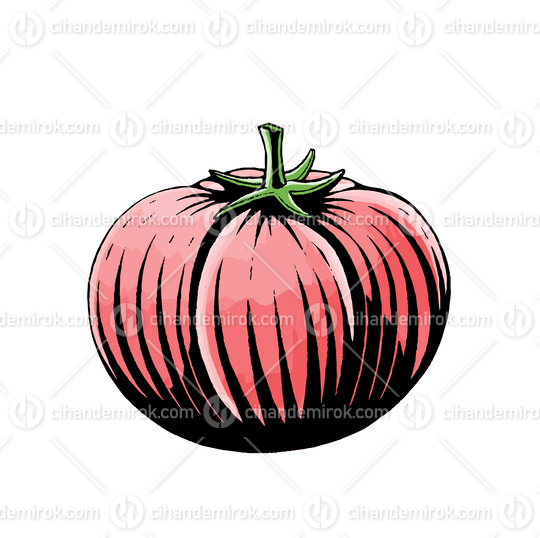 Red Tomato, Scratchboard Engraved Vector