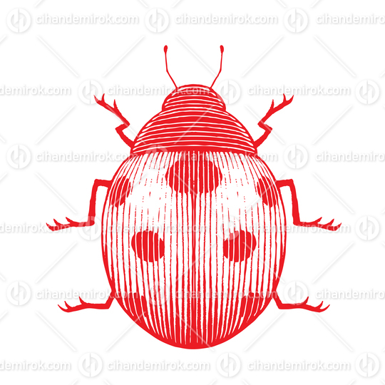 Red Vectorized Ink Sketch of Ladybug Illustration