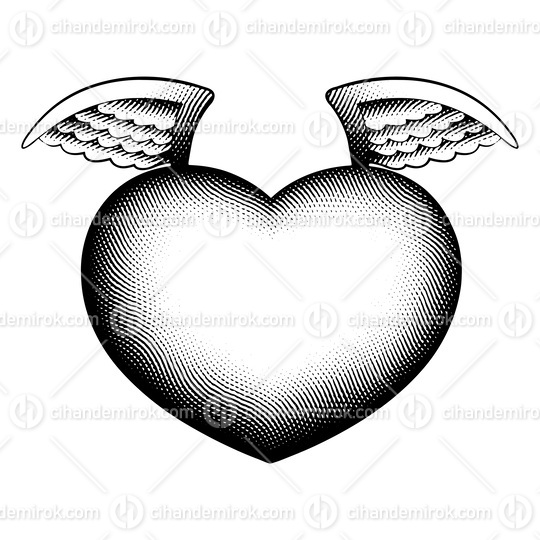 Scratchboard Engraved Angel Heart