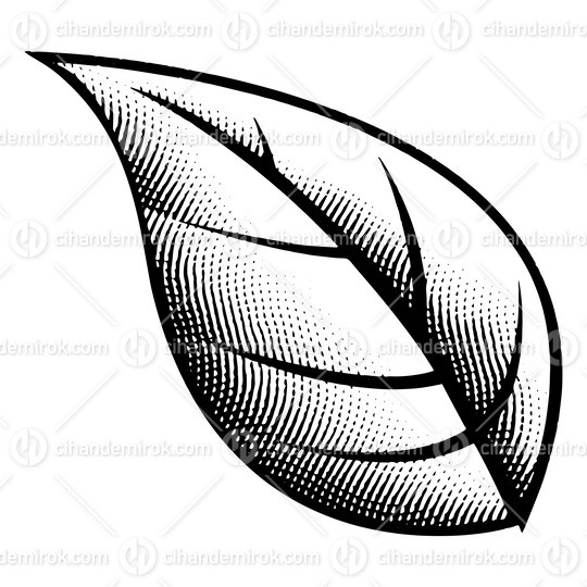 Scratchboard Engraved Big Leaf