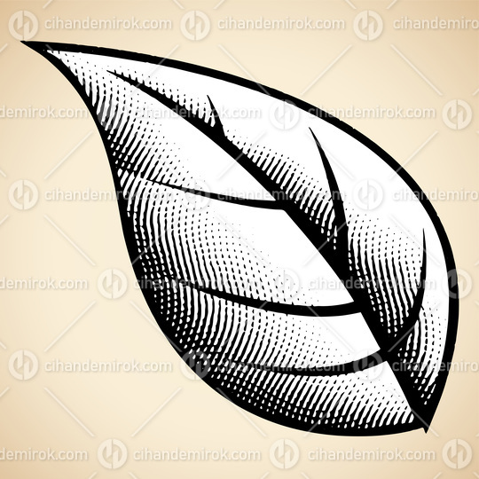 Scratchboard Engraved Big Leaf on a Beige Background