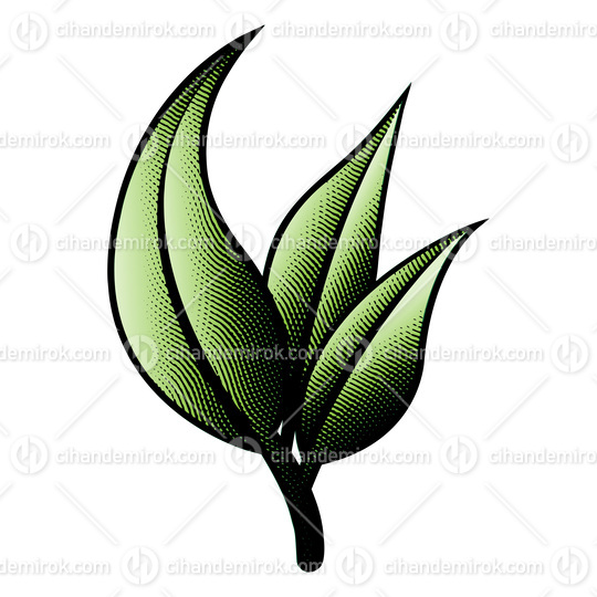 Scratchboard Engraved Branch of Green Leaves