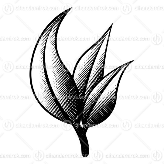 Scratchboard Engraved Branch of Leaves