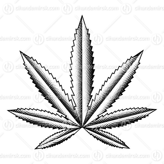 Scratchboard Engraved Cannabis Leaf