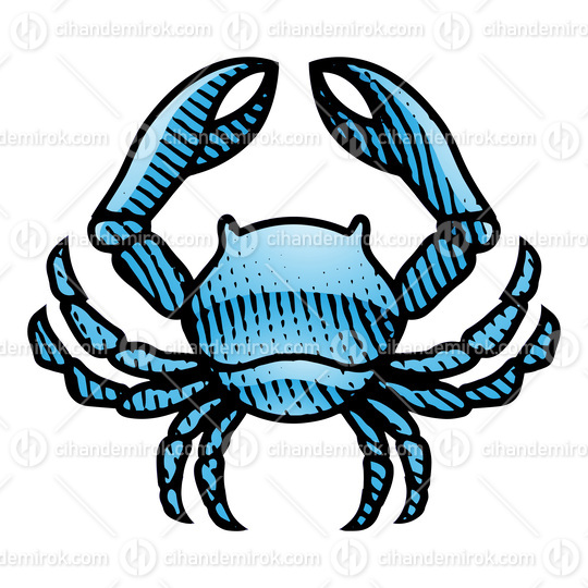 Scratchboard Engraved Crab with Blue Fill