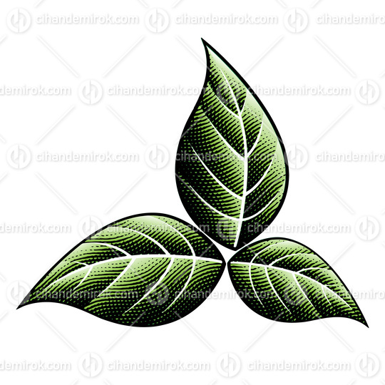 Scratchboard Engraved Dark Green Tobacco Leaves