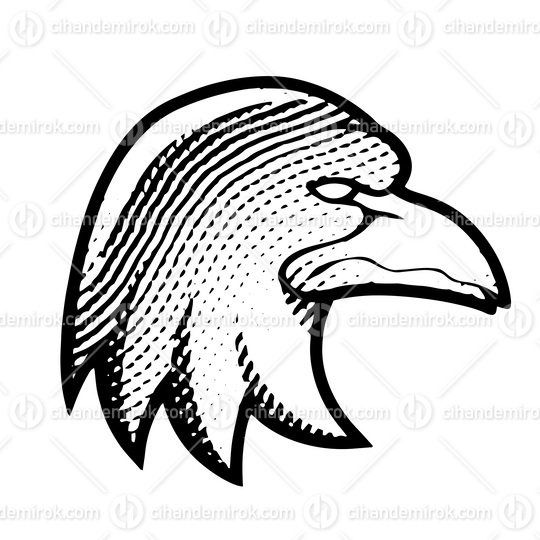 Scratchboard Engraved Eagle