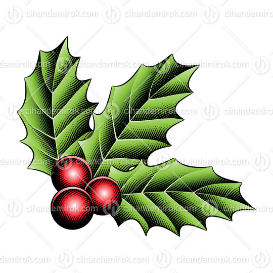 Scratchboard Engraved Holly Berries with Colorful Fill
