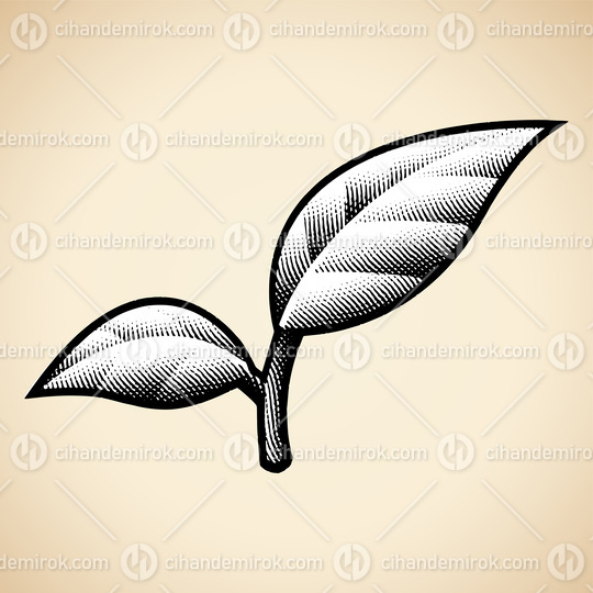 Scratchboard Engraved Leaf Branch on a Beige Background