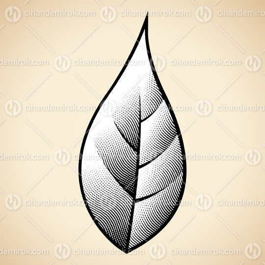 Scratchboard Engraved Leaf on a Beige Background