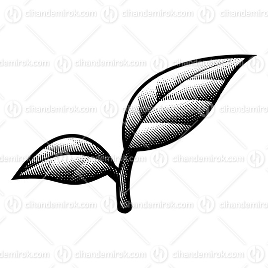 Scratchboard Engraved Leaves with Black Bold Outlines