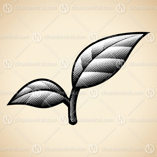 Scratchboard Engraved Leaves with Bold Outlines and White Fill