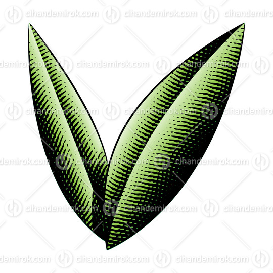 Scratchboard Engraved Leaves with Green Fill Color