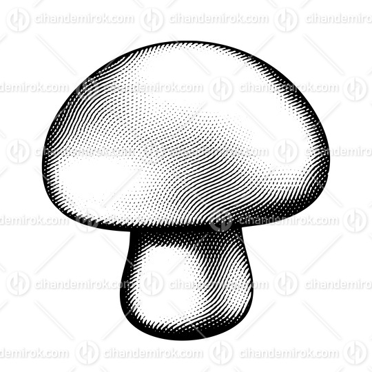 Scratchboard Engraved Mushroom