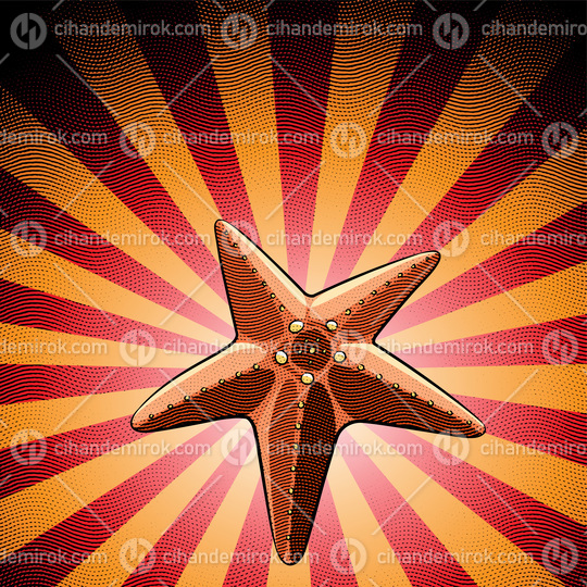 Scratchboard Engraved Starfish over a Red Striped Background