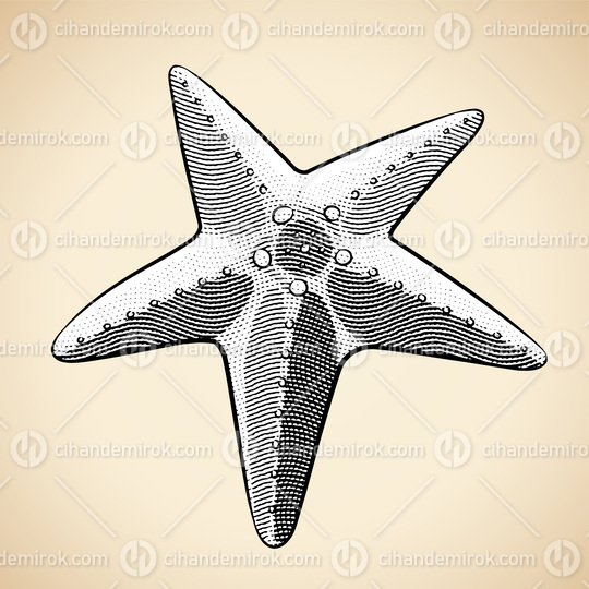 Scratchboard Engraved Starfish with White Fill