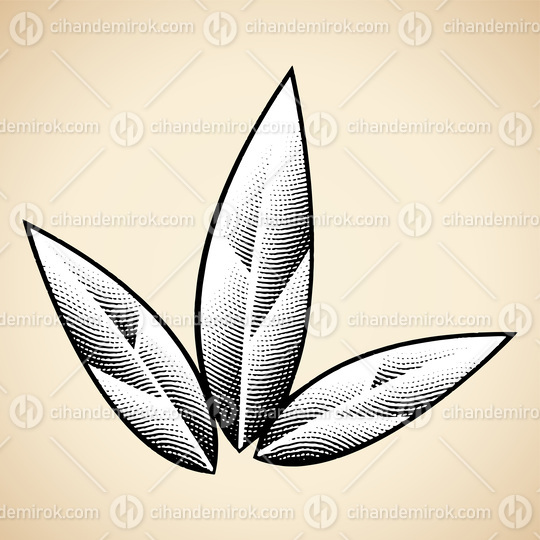 Scratchboard Engraved Tobacco Leaves on a Beige Background