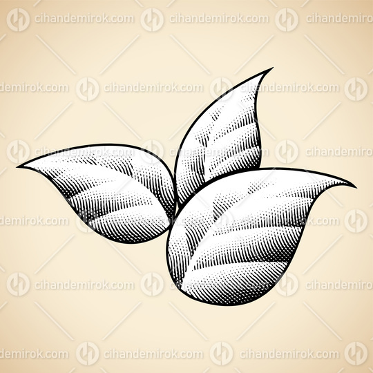 Scratchboard Engraved Tobacco Leaves with Black Outlines on a Beige Background