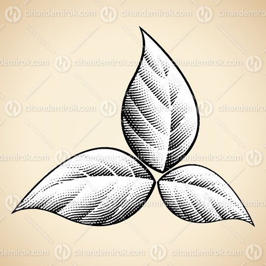 Scratchboard Engraved Tobacco Leaves with White Fill