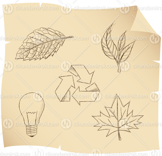 Sketch of Leaves, Refres Icon and a Light Bulb