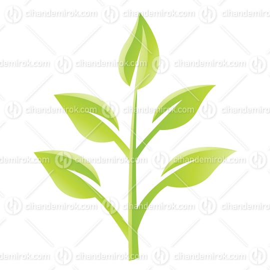 Small Glossy Green Leaves with Branches Icon