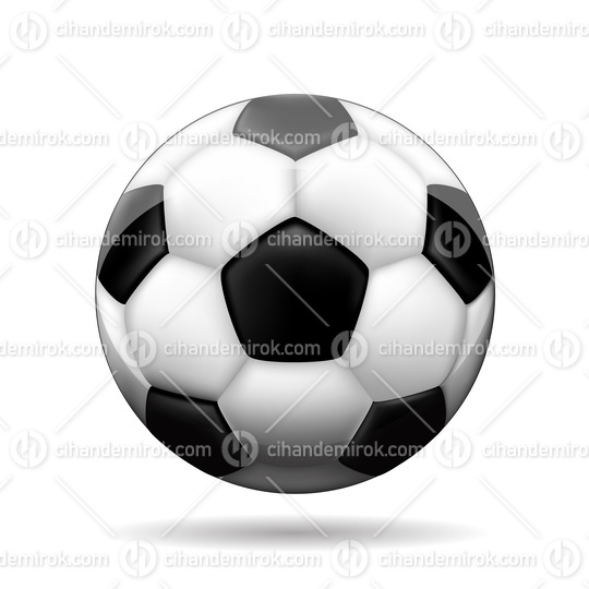 Soccer Ball isolated on a White Background