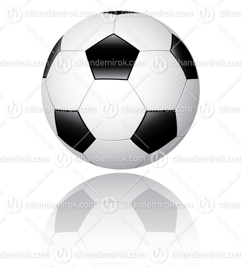 Soccer Ball or Football Ball with a Reflection