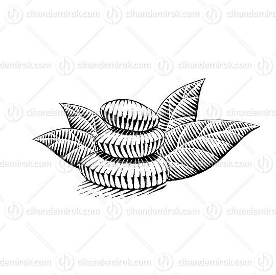 Spa Stones, Scratchboard Engraved Vector