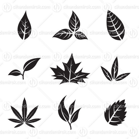 Various Black Leaf Icons isolated on a White Background