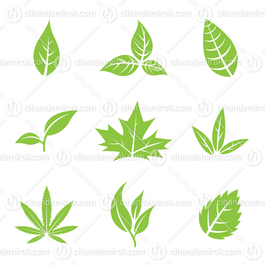 Various Green Leaf Icons isolated on a White Background