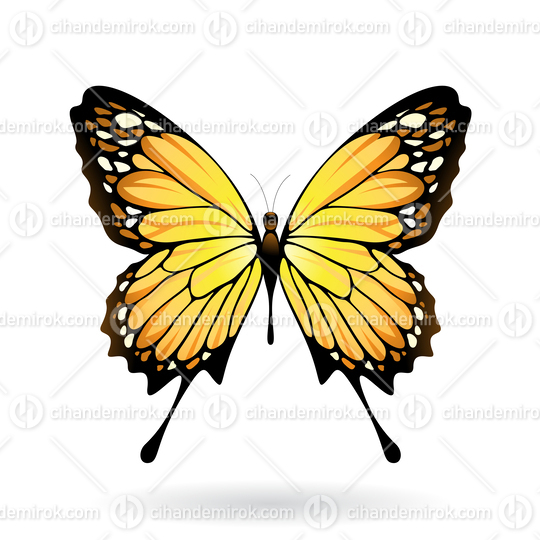Yellow and Black Butterfly Illustration